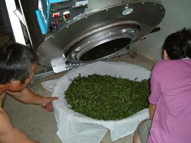台湾の凍頂烏龍茶の茶葉乾燥作業5